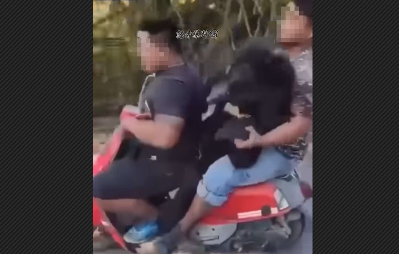 ▲網路最新流傳一支民眾騎機車載台灣黑熊屍體的影片，男子擺弄熊屍嬉鬧，讓網友砲轟太離譜。（圖／翻攝自記者爆料網）