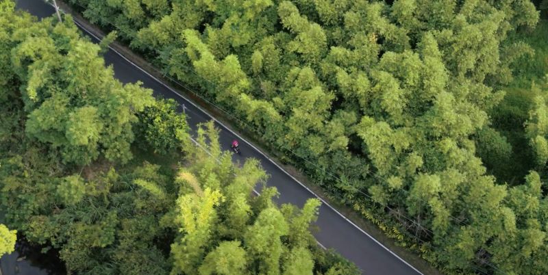 ▲觀光局與國際自行車虛擬平台Rouvy攜手共同推出2022年「 Taiwan Cycling Paradise 台灣自行車騎乘天堂」活動。（圖／翻攝自觀光局影片）