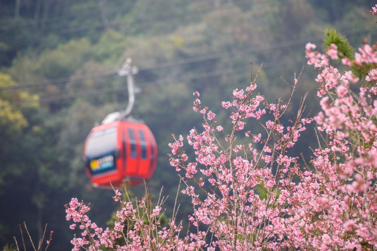 ▲今（26）日是228連假第2日，預估將有車潮湧現，公路總局預測14段易塞路段出爐。（示意圖／NOWnews資料照）