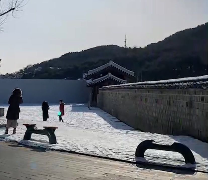 ▲很想追雪的話不妨衝韓國追起來！目前韓國首爾市預估最低溫度可能會降至零下21度，早在10月已經「初雪」的韓國，現在到處都是雪白冬季美景，人在韓國的女留學生看了都直呼「美哭」！（圖／受訪者授權提供）