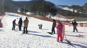 ▲京畿道著名的芝山森林滑雪場，除了可以賞雪外，還能選擇嘗試滑雪、單板滑雪、雪橇等刺激的冬季運動。（圖／Klook提供）
