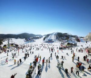 ▲威利希利滑雪場以擁有每小時可輸送20,000名滑雪客抵達山頂的纜車與電腦控制自動造雪機自豪，其位於韓國冬季降雪量最大的江原道地區，因為時常下雪，且積雪長期不融化，讓旅客整個冬季都能在優秀雪質的滑雪道盡情滑雪。（圖／Klook提供）