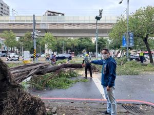 ▲當地里長張啟龍立即通報台中市建設局養工處進行處理。（圖／臉書社團《福平里大小事》）