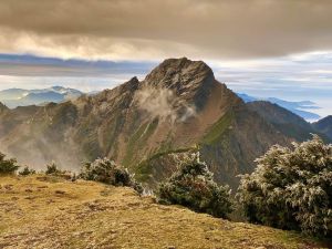 ▲玉山北峰出現「凍雨」，植物上頭也出現。（圖／鄭明典臉書）