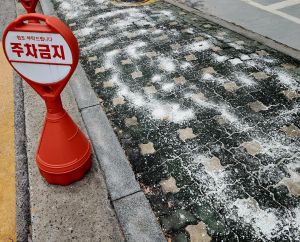 韓國追雪別衝動亂摸!「路上白白」不是雪:反能防結冰