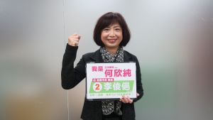 嘉義敗選 何欣純:矢板明夫看的比民進黨透徹