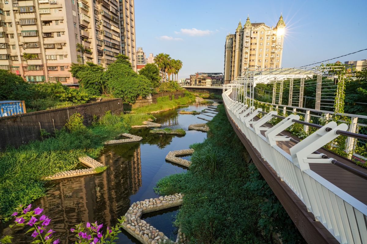 ▲泰山區大窠坑溪水環境改善完成，重現河川綠生活，宛如自然生態教室。（圖 ／新北市政府水利局提供）