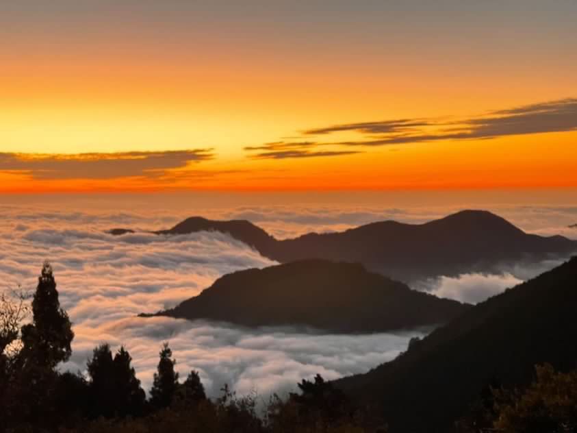 ▲元旦錯過第一波日出可是會後悔一整年！網友熱議「全台8大名景」出爐，其中阿里山可說是無庸置疑的冠軍，不只有日出還有滿山谷的雲海，簡直太療癒！（圖／攝影部落客molly888666授權提供）