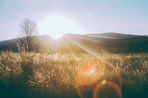 ▲秋分節氣今天到來，雲蔚老師點名蛇、牛、馬3個生肖在這段期間將迎接好財運。（示意圖／Unsplash）