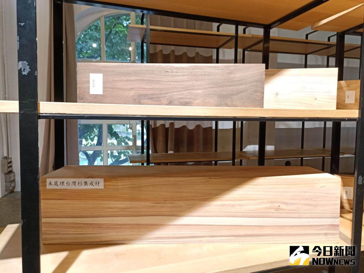 ▲林務局自2017年正式宣告國產材元年，強力推廣國產木竹材。（圖／記者許若茵攝，2022.12.21）