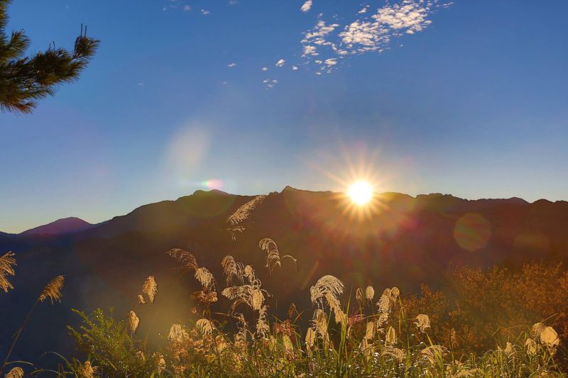 ▲提到日出時，許多人會馬上想到「阿里山」，平時就以日出聞名的阿里山，到了元旦跨年常常都塞爆人上山，在山上體驗新年的第一縷陽光，讓網友激動狂推：「寒風中的等待與疲憊全都值得了！」（示意圖／取自阿里山日出印象音樂會官方臉書）