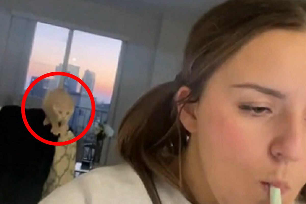 ▲小飛貓把飼主當停機坪，有事沒事就撲上去，眾人被萌翻。（圖／AP+ Newsflare） 