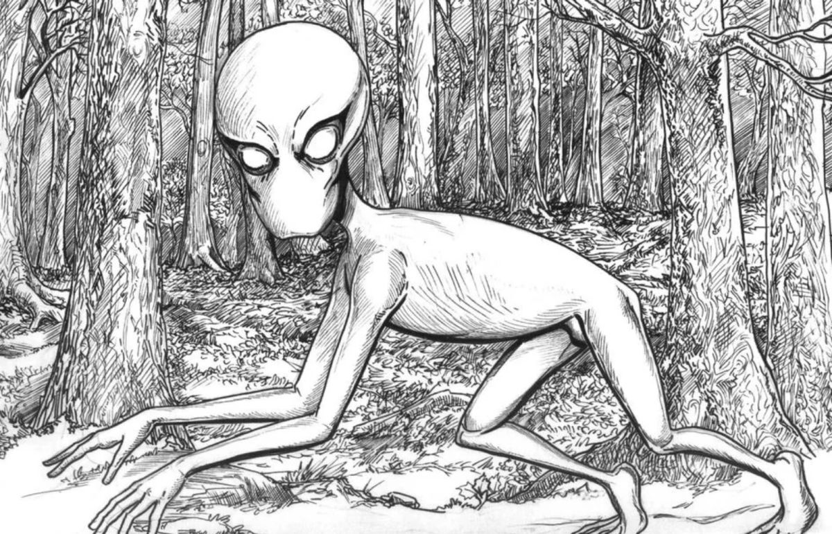 ▲20世紀70年代，有關「多佛惡魔」的目擊報告曾在美國麻州掀起熱議。（圖／翻攝自網路）