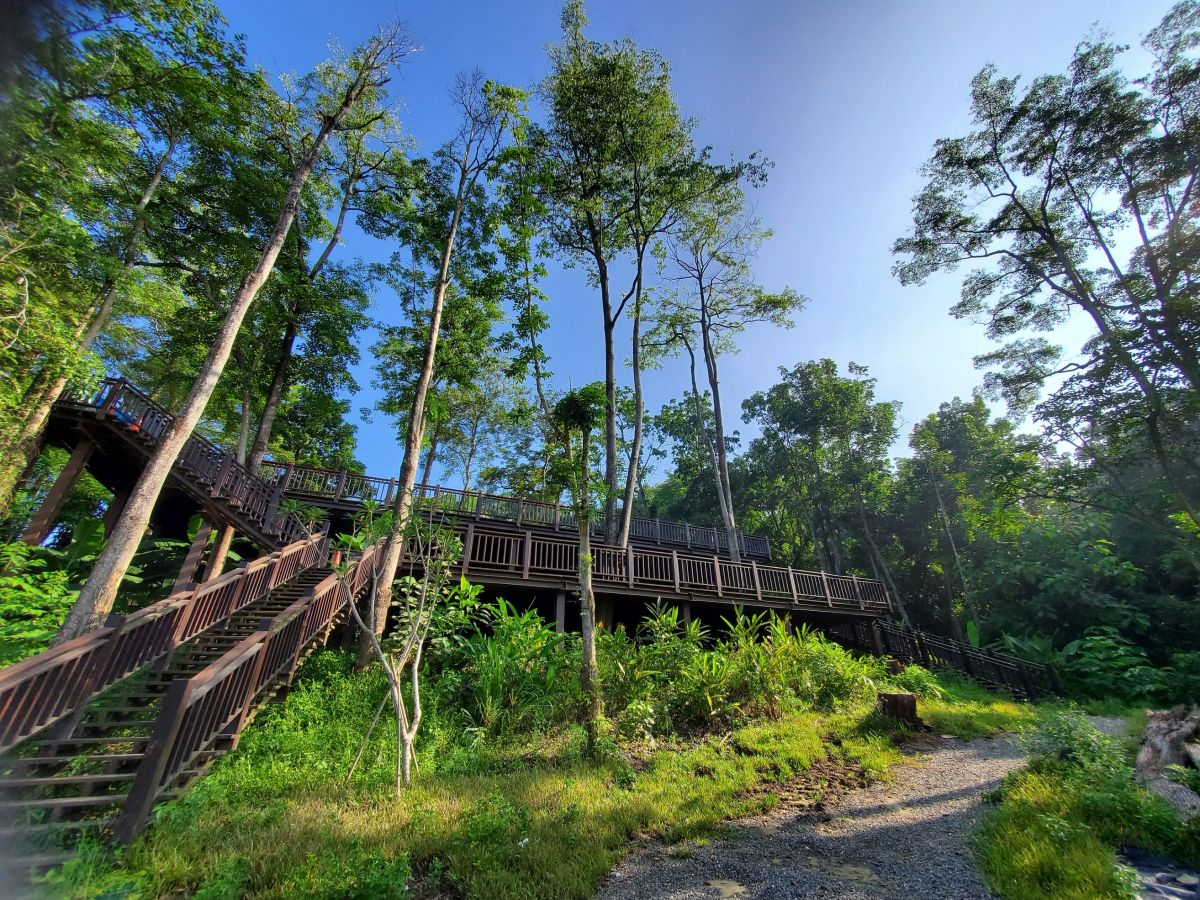 ▲新化林場友善里山環境場域改善融合生態保育及休閒機能，獲公共工程金質獎優等肯定。（圖／水保局提供）