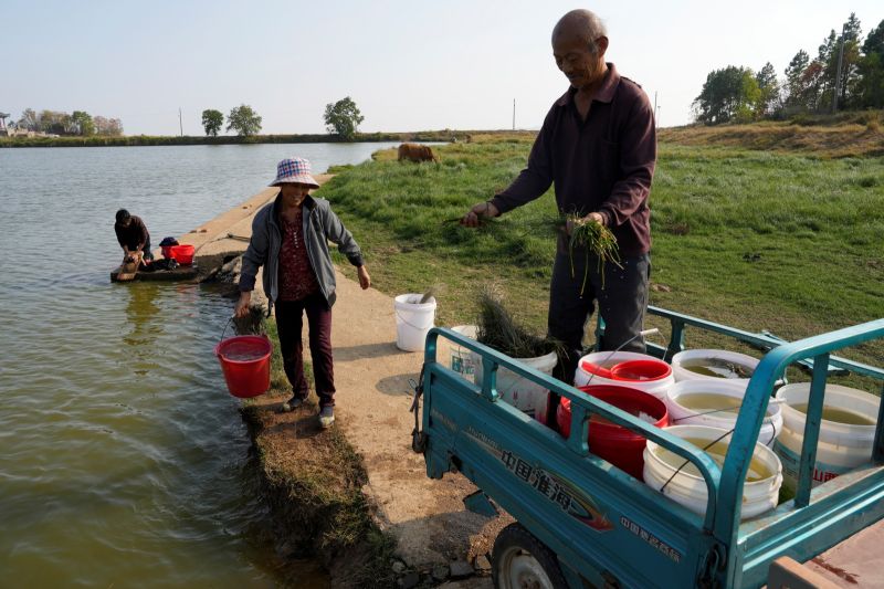中國大城走過首波疫情　農村面臨爆發挑戰