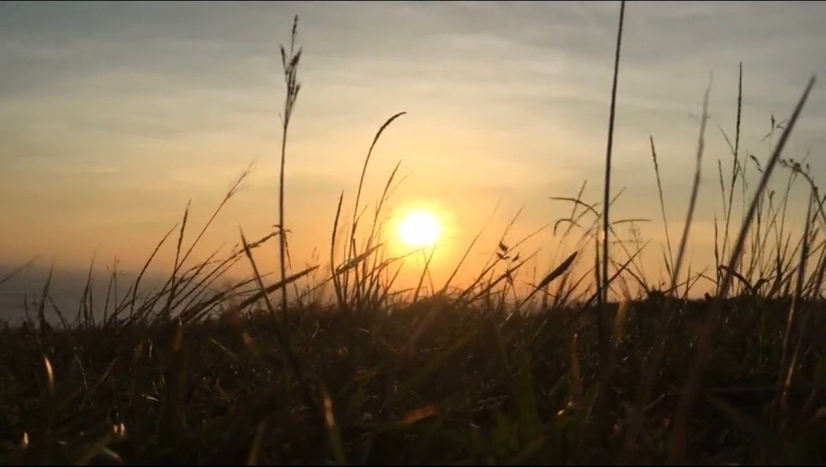 ▲CNN點出龍磐公園的特別之處，直言沒去過龍磐公園，整趟墾丁之旅就不算完整。（圖／記者賴禹妡攝）
