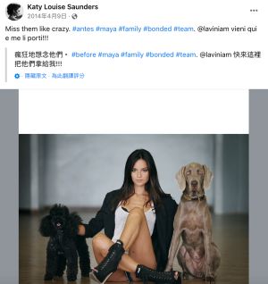 ▲宋仲基女友養了兩隻狗狗。(圖/翻攝自Katy Louise Saunders臉書) ▲宋仲基女友Katy Louise Saunders養了兩隻狗狗。(圖/翻攝自Katy Louise Saunders臉書)