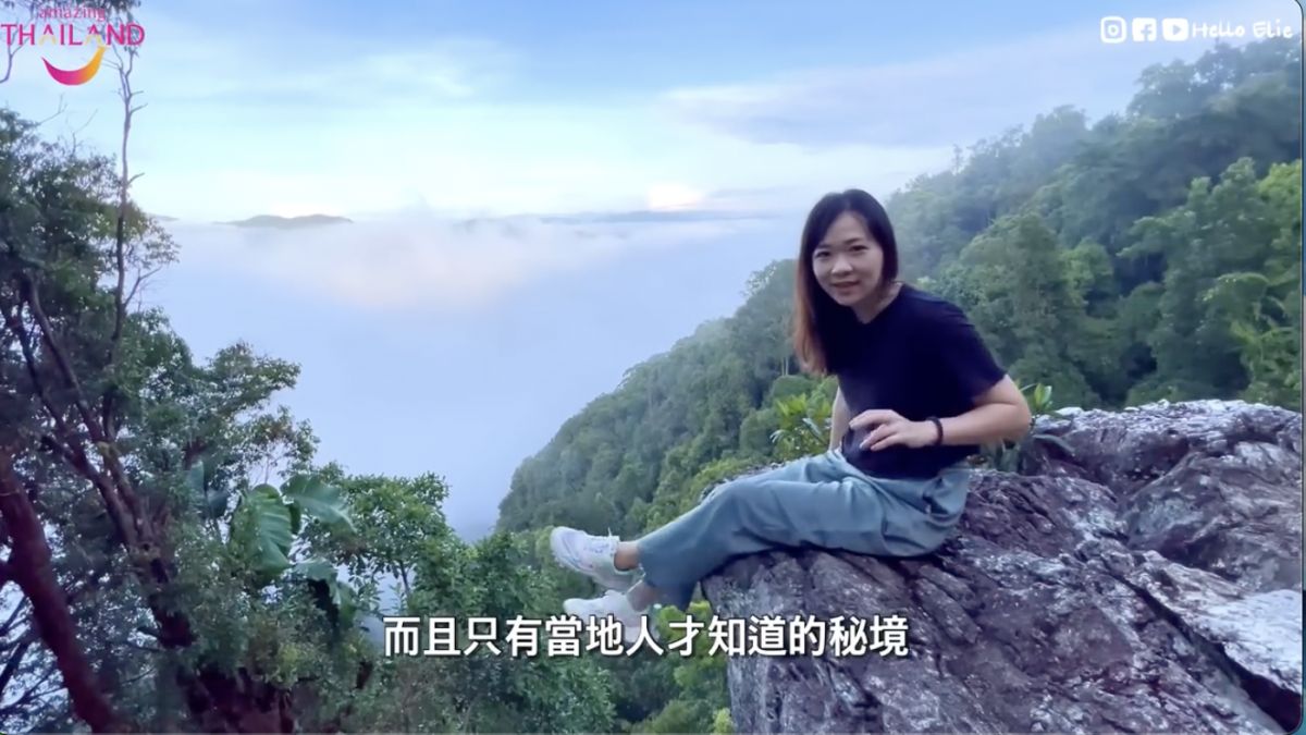 ▲凌晨六點前往山上看雲海。（圖／翻攝自影片）