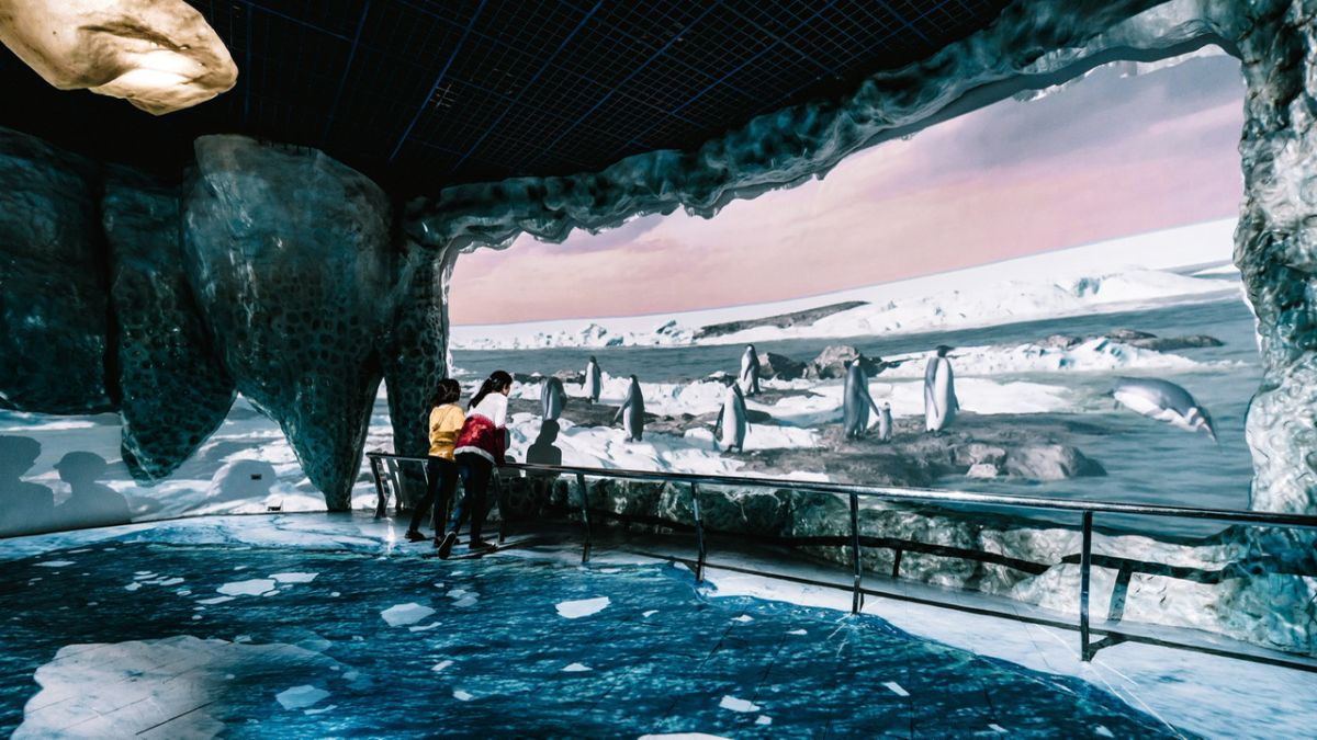 ▲多元化的展示內容讓屏東海生館成為國內旅遊熱門首選。（圖／屏東海生館提供）