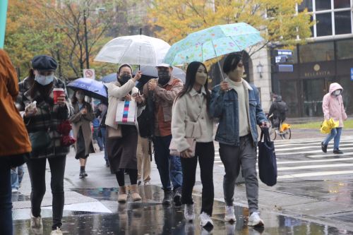 出門帶傘！東北季風吹4天：北台灣濕涼　一圖看周末降雨變化
