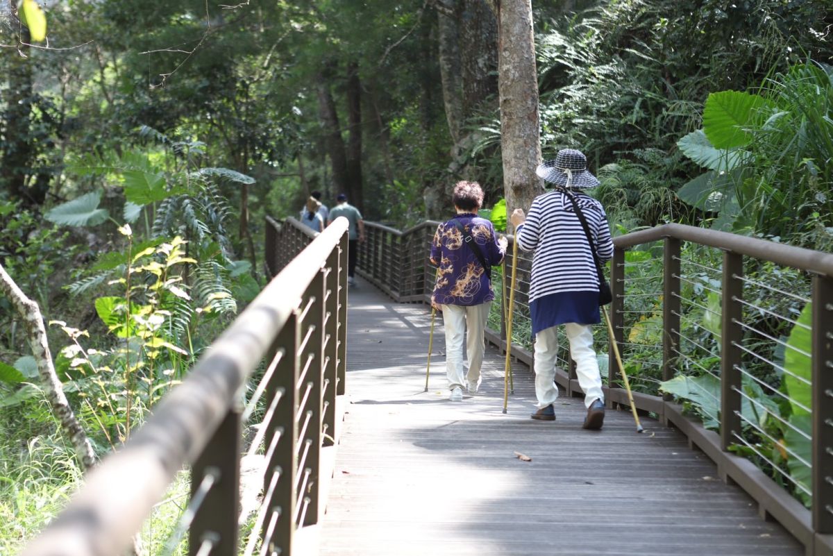 ▲雄獅旅遊看準「樂齡旅遊」市場，攜手台灣高鐵推出長者樂齡旅遊2.0「大人囝仔高鐵行」，運用高鐵方便又快速特性，深入台灣本土5大娛樂主題。（圖／雄獅提供）
