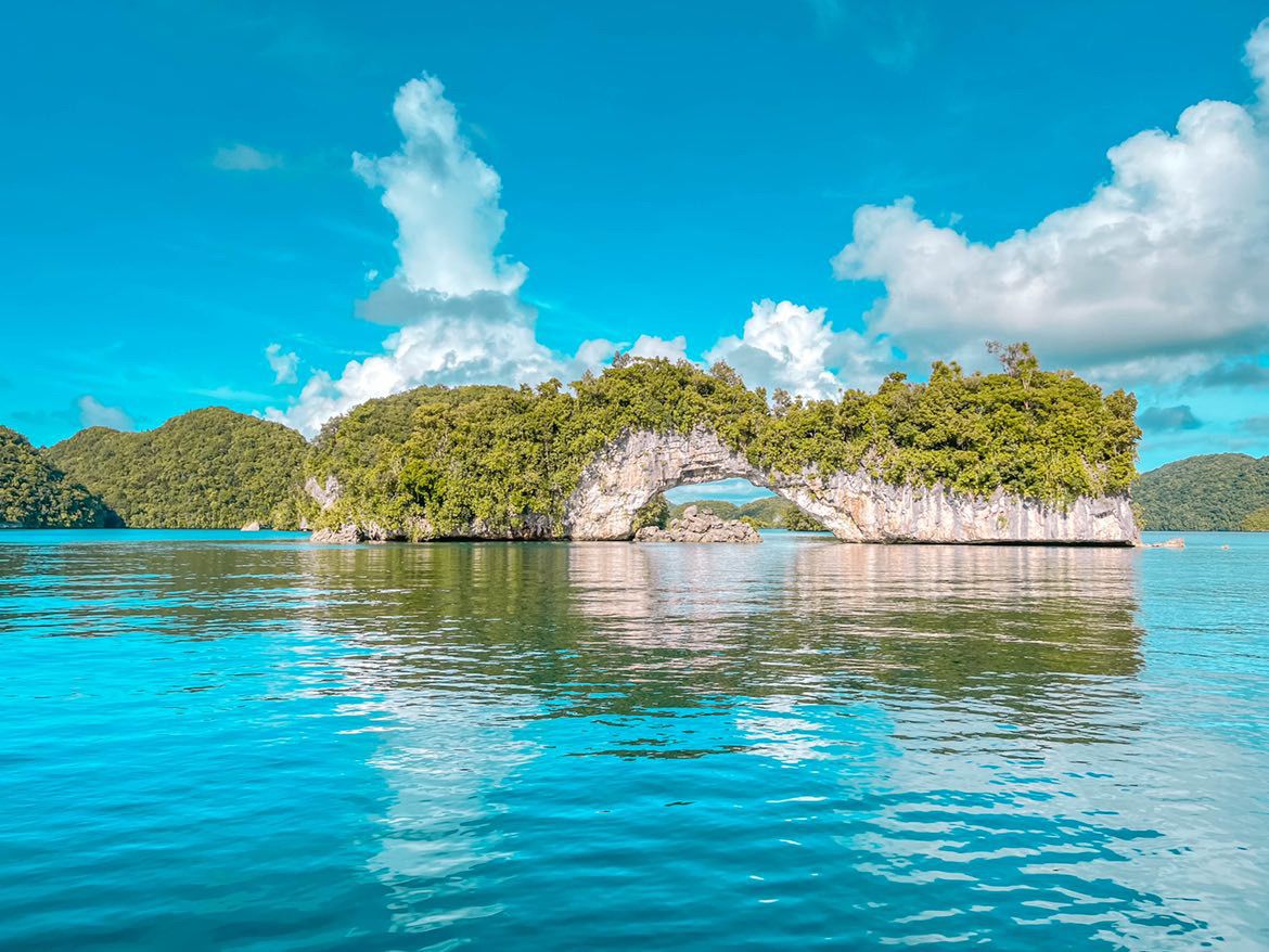 ▲帛琉總統惠恕仁（Surangel Whipps Jr.）多次在公開場合強調與台灣的外交關係堅若磐石。（圖／翻攝自臉書）