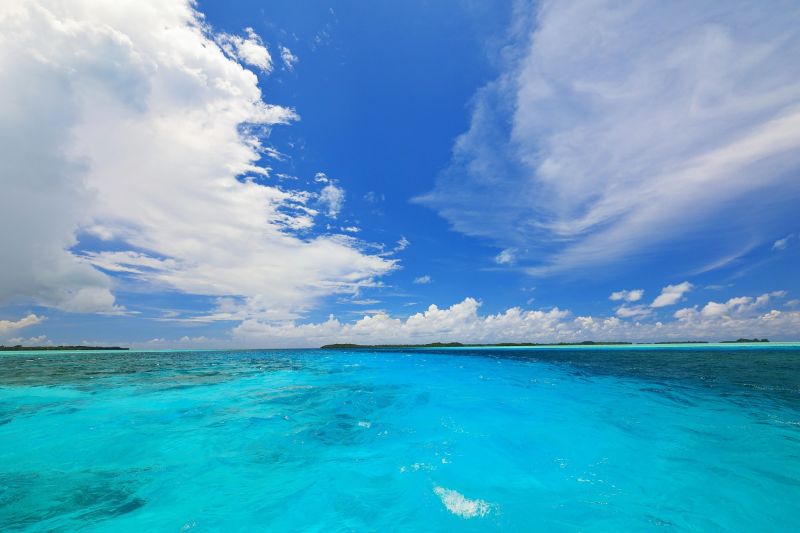 ▲我國友邦帛琉擁有絕美的海洋景色，因此吸引無數旅客前往當地朝聖、潛水。（圖／翻攝自帛琉觀光局臉書）