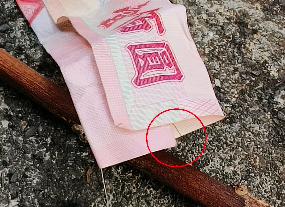 ▲有民眾在自家門口看到一張對折起來的百元鈔票，拿起來細看後才發現裡面有好幾根頭髮。（圖／《爆廢公社》）