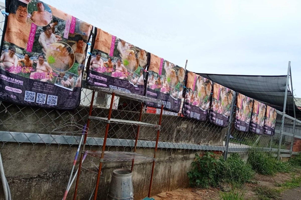 ▲狗園收50條「國動無碼毯」一字排超狂，浪浪爽躺畫面新奇。（圖／台中市世界聯合保護動物協會授權提供） 