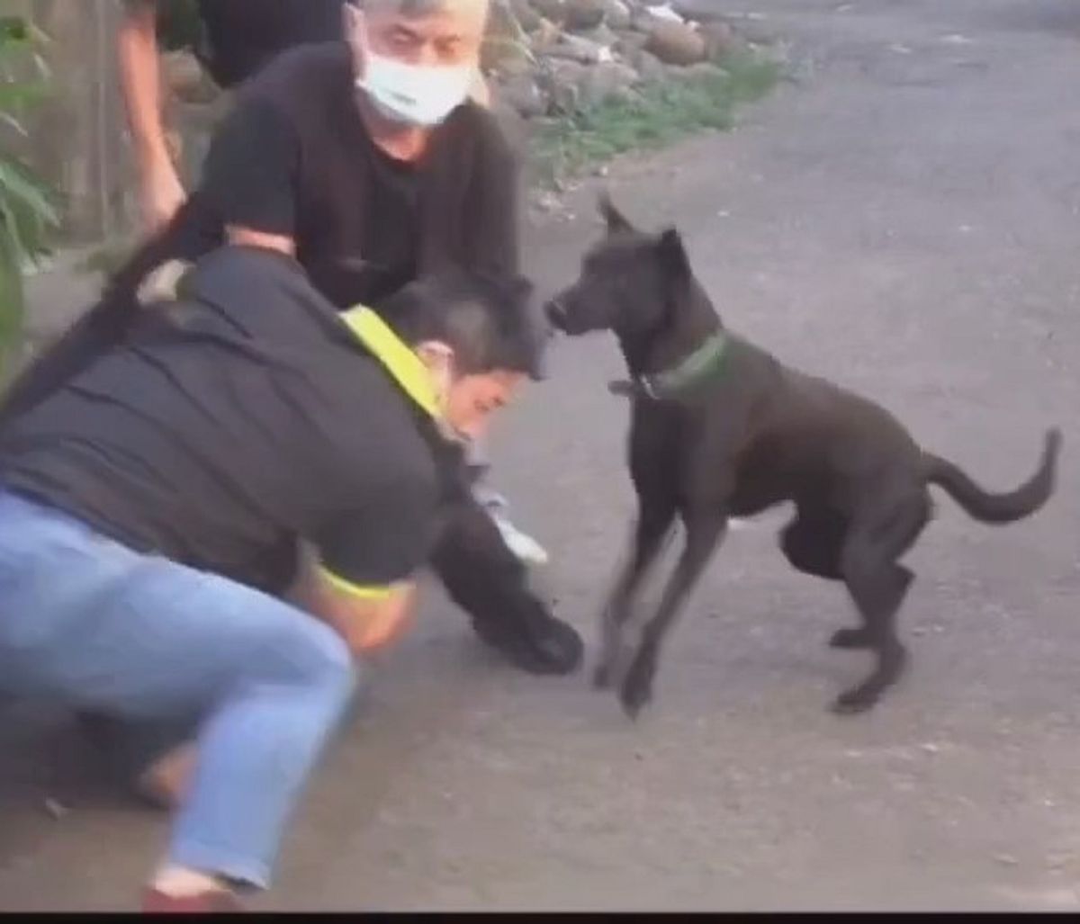 ▲3警壓擒180壯碩槍毒犯 「黑狗兄」趕來么喝加油！（圖/記者鄧力軍翻攝）