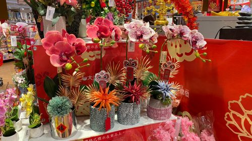 ▲可以在房屋正中央擺放開花植物，招來好桃花、好人緣。（示意圖／記者黃韻文攝）