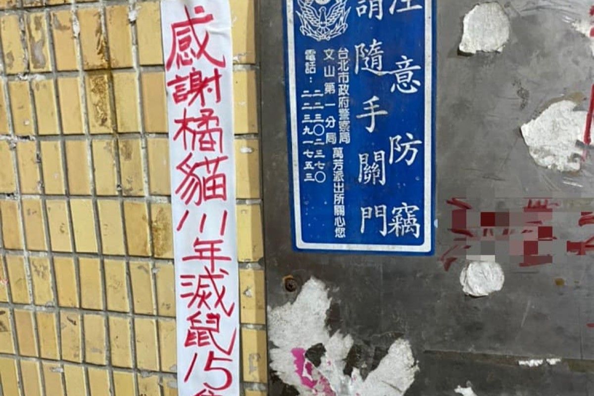 ▲橘貓1年滅15隻溝鼠，鄰居貼感謝狀表揚：「我的超人」。（圖／臉書社團《路上觀察學院》） 