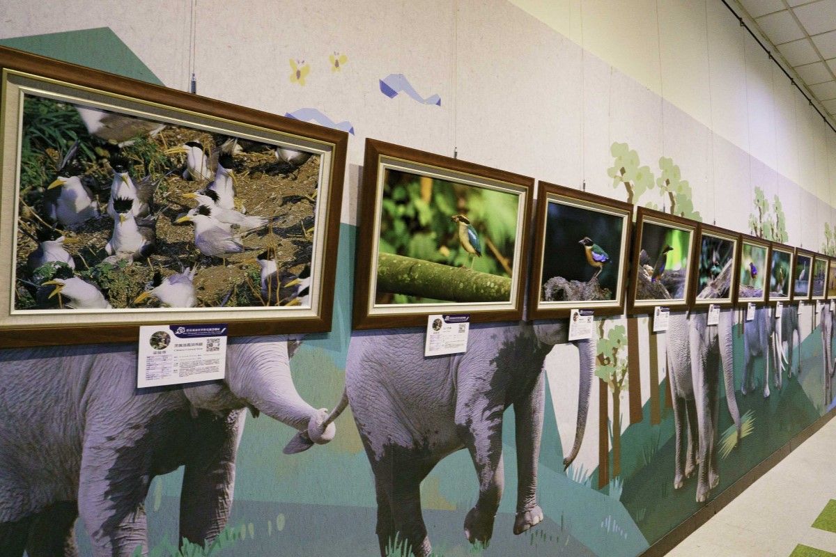 ▲愛鳥人士狂喜，北市動物園開辦免費野鳥攝影聯展。（圖／臺北市立動物園授權提供）