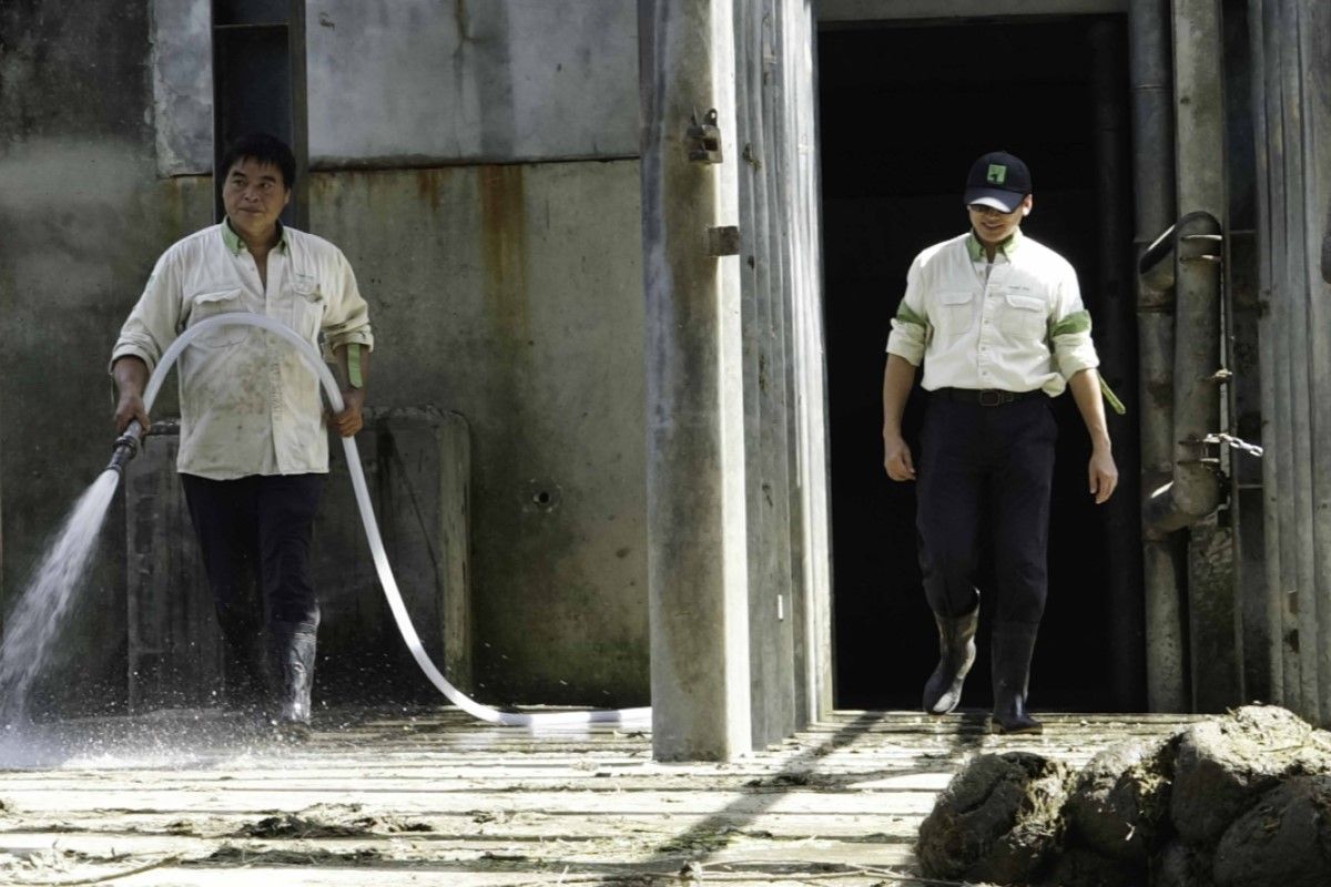 ▲保育員艱苦穿搭守則曝，顧動物為首要任務，寒冬中也不能套大衣。（圖／臺北市立動物園授權提供）