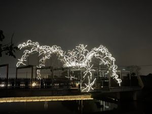 以60多隻燈管小蜘蛛組成的巨型蜘蛛燈光雕塑在夜空顯得無比碩大 ▲以60多隻燈管小蜘蛛組成的巨型蜘蛛燈光雕塑在夜空顯得無比碩大(圖/記者陳諭申攝,2023,01,12)