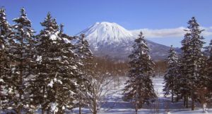 北海道羊蹄山10名外國遊客遇雪崩！一女無呼吸心跳送醫

