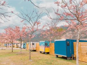 ▲高雄的遠山望月溫泉風呂露營區，種植了近千棵被譽為泰國櫻花的「花旗木」