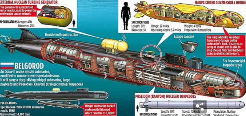 ▲俄羅斯據傳已經生產出第一套具有核能力的「波塞冬」（Poseidon）超級魚雷，將配於特種核潛艇。（圖／翻攝自每日郵報）