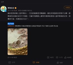 ▲科學雜誌《博物雜誌》的專家看完圖片,證實桌上的斑點章魚就是「藍環章魚」。(圖/微博) ▲科學雜誌《博物雜誌》的專家看完圖片,證實桌上的斑點章魚就是「藍環章魚」。(圖/微博)