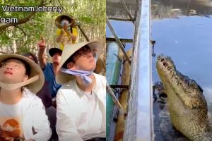 影／來去越南釣鱷魚！台灣網紅探險
