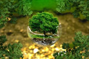 全球生物多樣性基金啟動 加拿大英國共捐逾50億