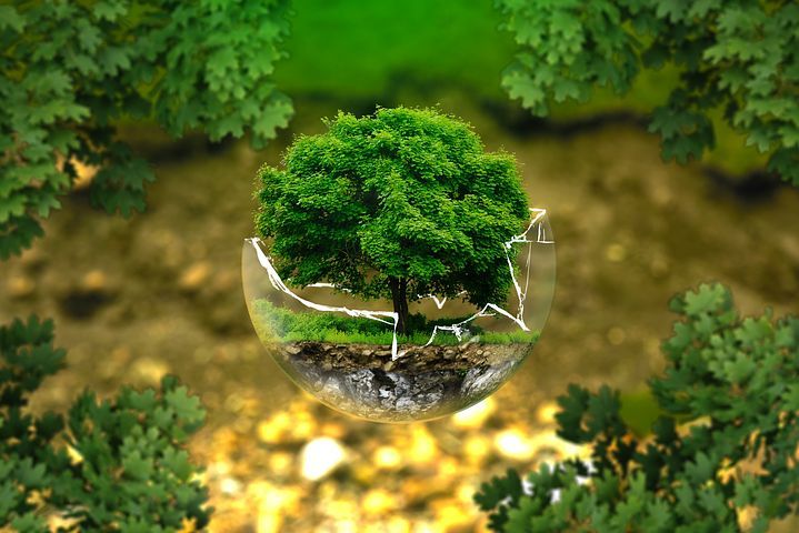 ▲國際社會今天追認一項新的全球生物多樣性基金，目的是要強化自然環境的緊要復原和重建，這是聯合國去年峰會確定的目標。（示意圖／翻攝自Pixabay）