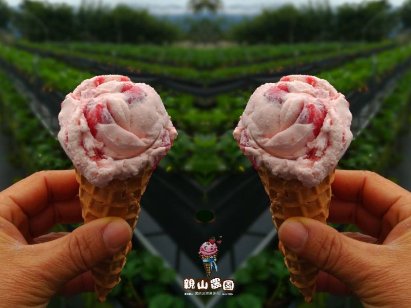 ▲園區自製的草莓冰淇淋更是大受好評。（圖／翻攝台東關山親山農園）