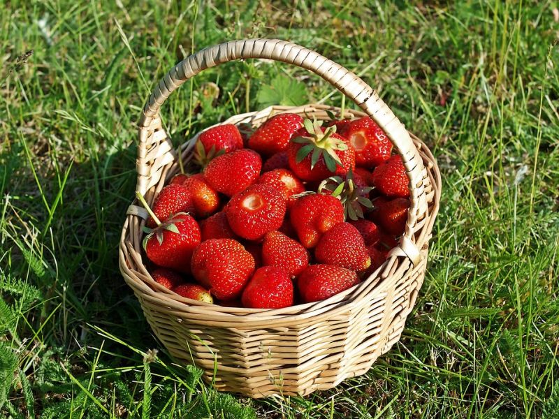 ▲草莓（圖／翻攝Pixabay）