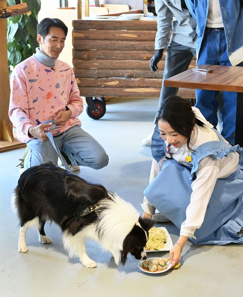 ▲陶晶瑩、李李仁把家中2隻愛犬帶來。（圖／台視提供）