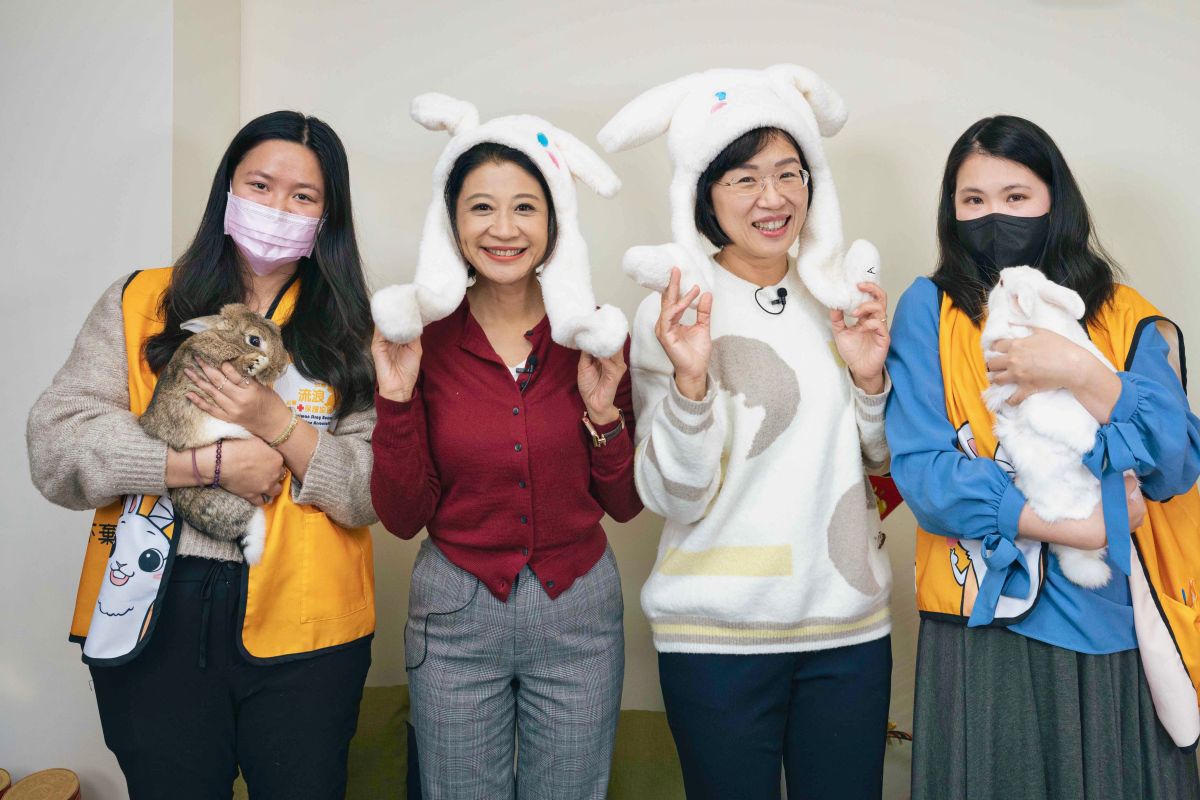 ▲蘇巧慧邀立院好同事林楚茵一同進行兔兔趣味問答。（圖／蘇巧慧辦公室提供）