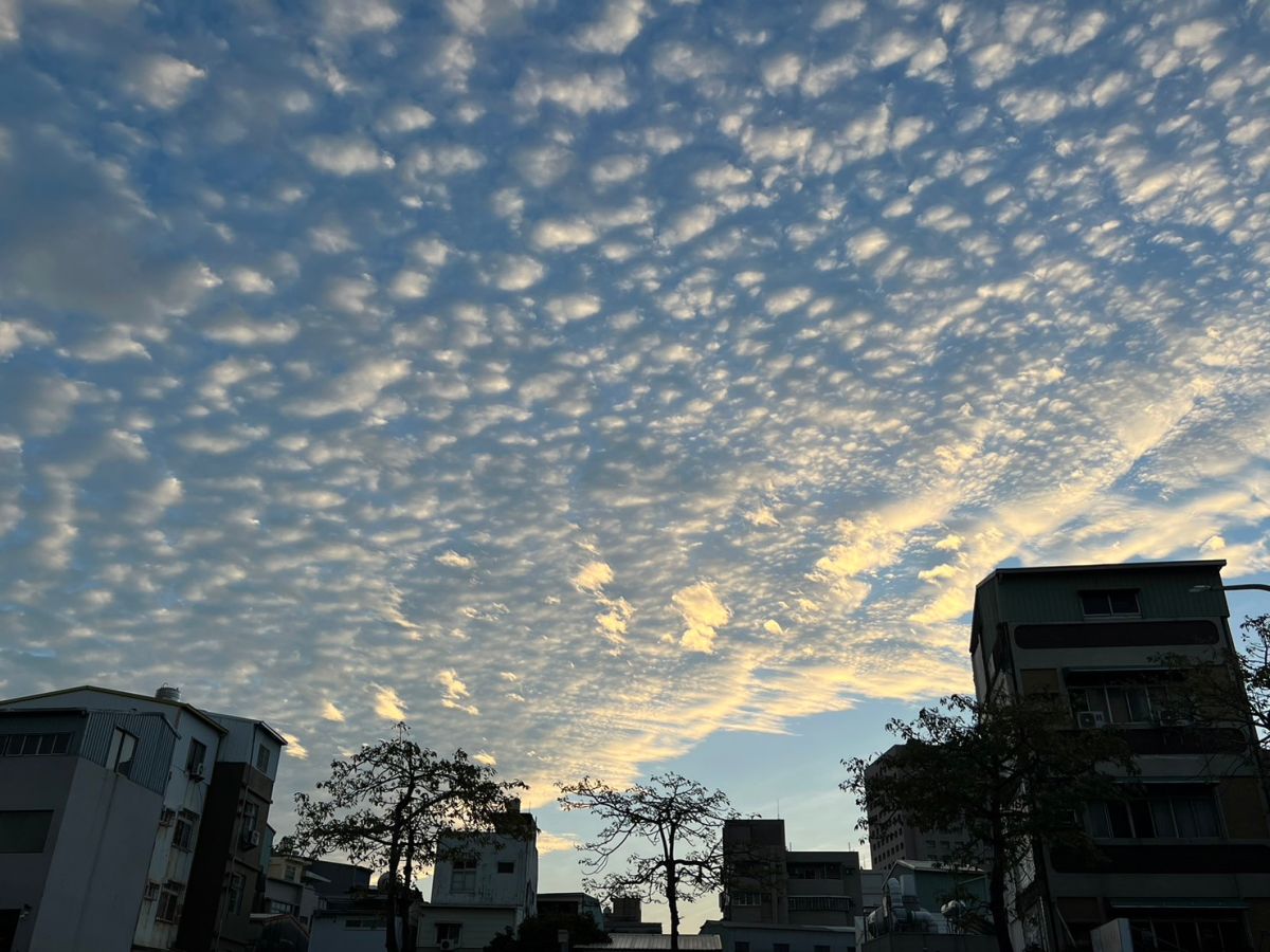 ▲氣象局指出，未來一週台灣各地大多為多雲到晴，僅兩波東北季風讓北台灣天氣稍不穩定。（圖／記者張志浩攝）