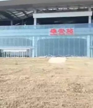 雄安火車站 ▲雄安火車站廣場車站周圍雜草叢生。(圖/翻攝自推特)