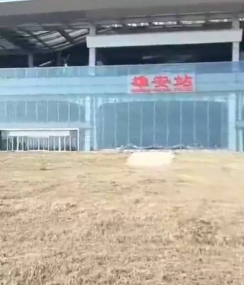 ▲中國媒體人高瑜在推特PO出一段雄安火車站廣場的影片，車站周圍雜草叢生。（圖／翻攝自推特）