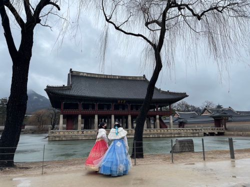 2中國男闖景福宮禁地！毆打警衛遭開罰　秒離境恐遭韓國通緝
